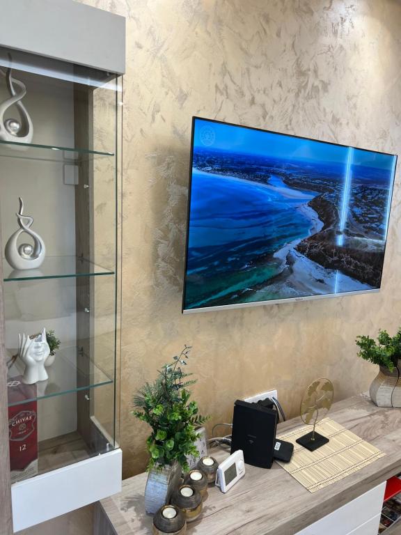 TV a/nebo společenská místnost v ubytování Apartman Trg Lux
