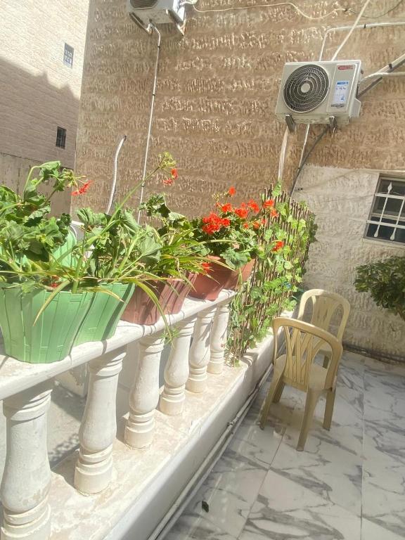 a balcony with a bunch of plants and a chair at شقه بغرفه وصاله وبلكونه بدون شراكة in Amman