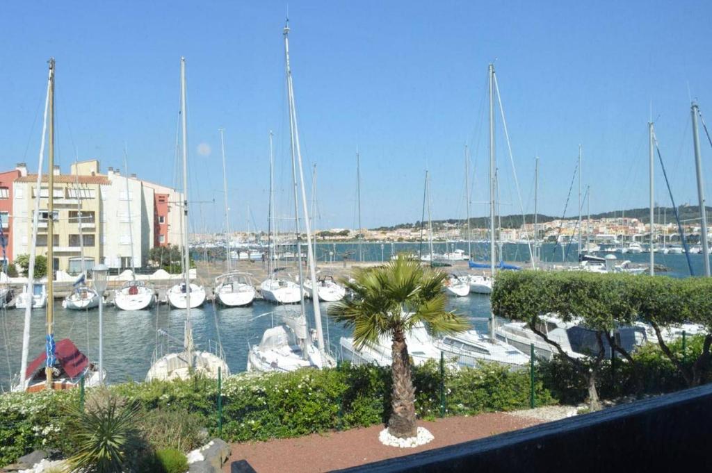 un port de plaisance avec beaucoup de bateaux dans l'eau dans l'établissement Appt Studio cabine CAP D'AGDE CT340-314, au Cap d'Agde