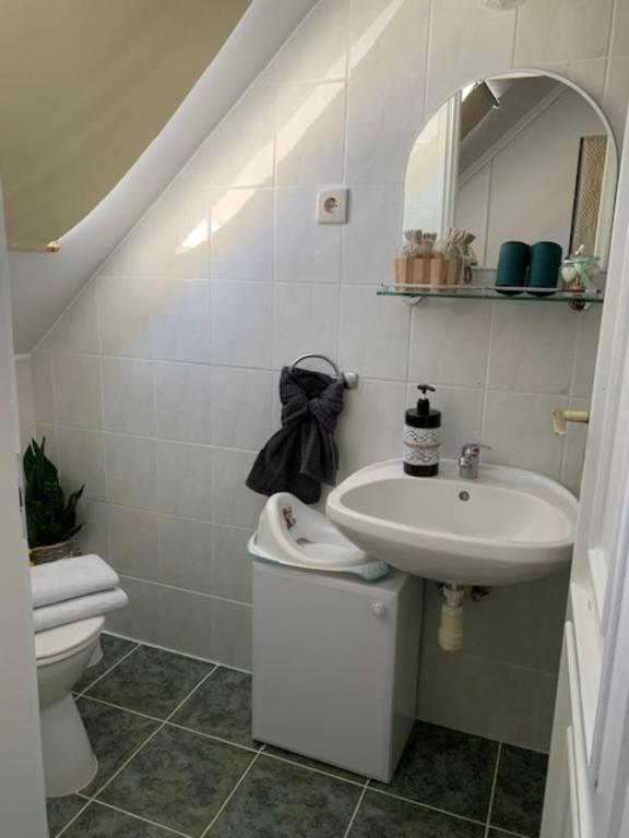 Kúpeľňa v ubytovaní Pusztavár-Lak