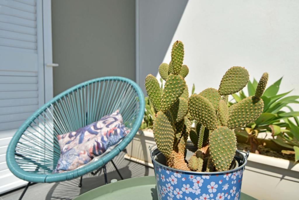 a cactus in a pot on a table next to a chair at Mare a Sud in Villaggio Azzurro