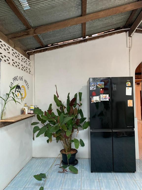 Fotografie z fotogalerie ubytování Ka Prao Kai Hostel v destinaci Pai