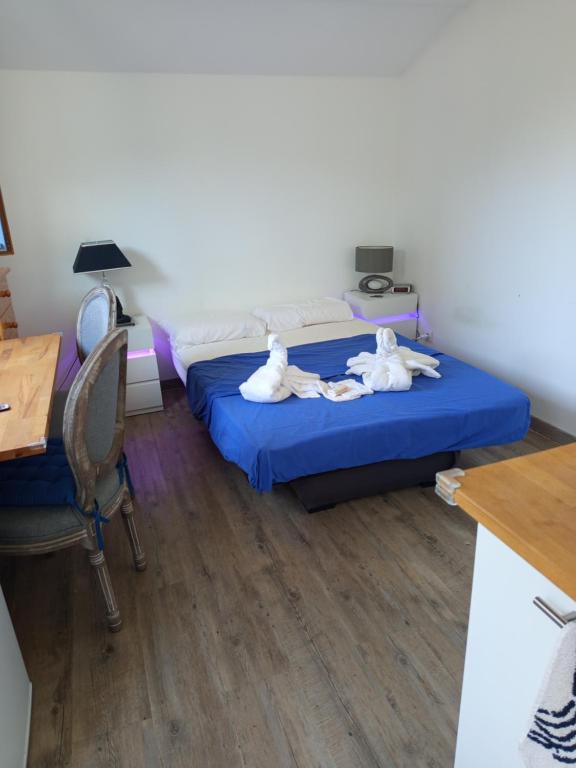 a room with a bed and a desk and a desk at Studio indépendant in Le Pontet