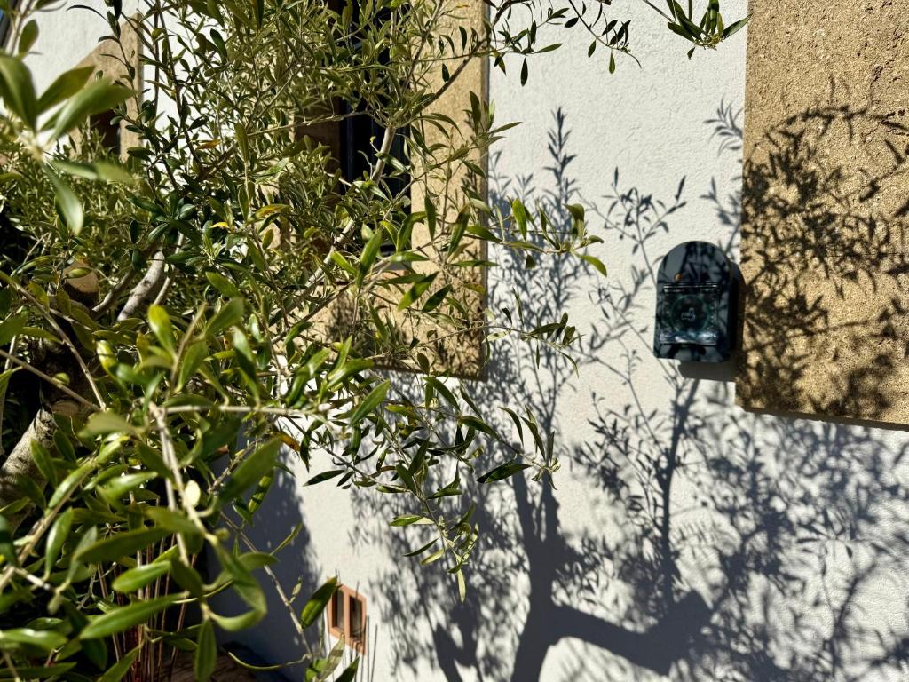 Zahrada ubytování Une nuit en Luberon