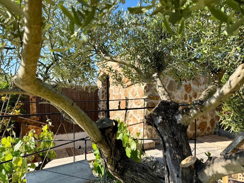 Zahrada ubytování Une nuit en Luberon