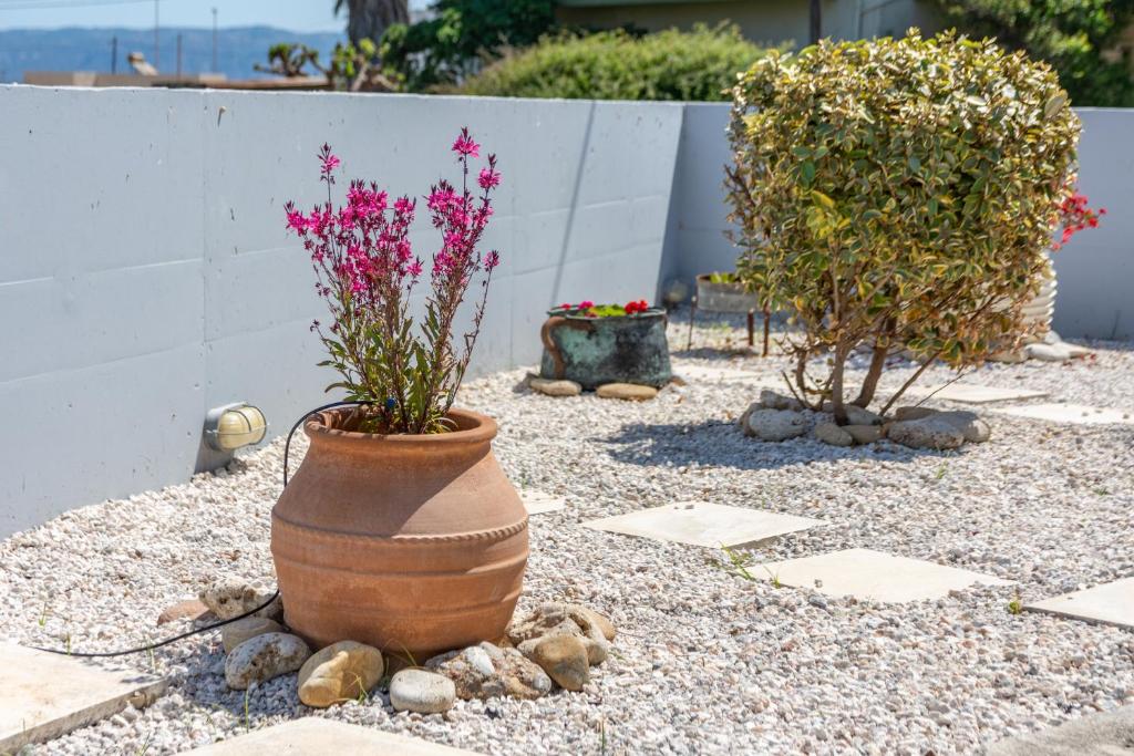 Vonkajšia záhrada v ubytovaní Lahardi - Seaside House