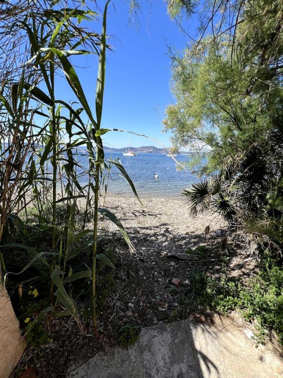 Maisonnette les pieds dans l'eau Presqu'ile de Giens