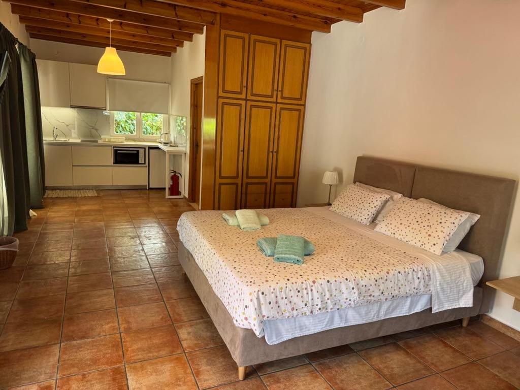 A bed or beds in a room at Pieros Studios Lisipios