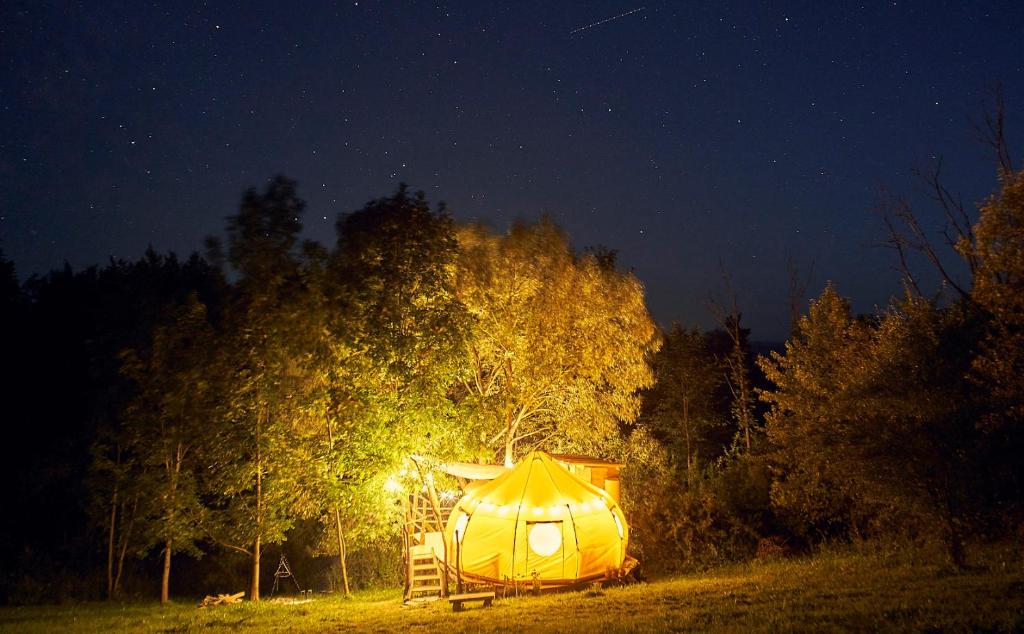 Fotografie z fotogalerie ubytování Dziking v destinaci Kamionka