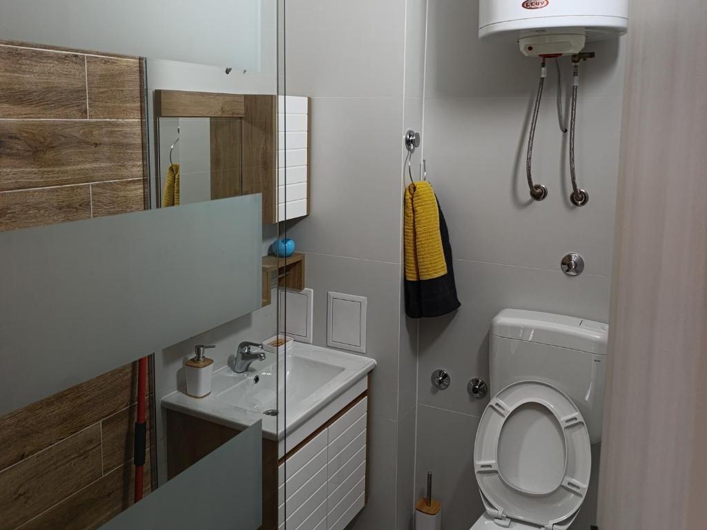 een kleine badkamer met toilet en wastafel bij A&A Apartments in Sarajevo