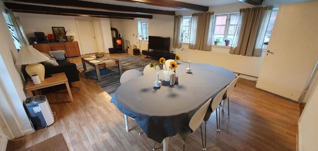 TV a/nebo společenská místnost v ubytování Cozy House