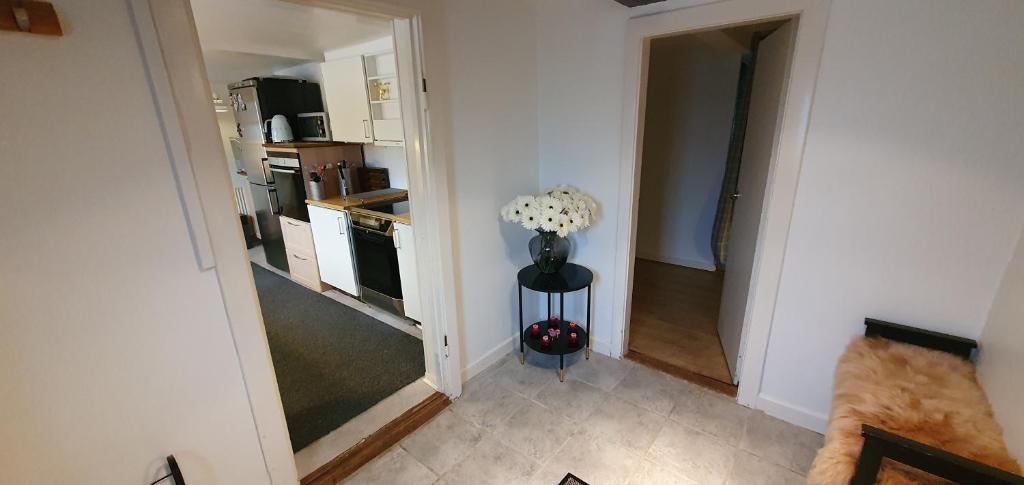 Kuchyň nebo kuchyňský kout v ubytování Cozy House