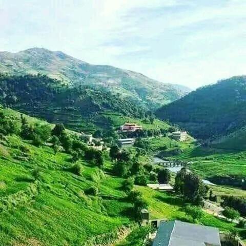 a lush green hillside with a town in the middle at Maison hôte ketama in Tlata Ketama