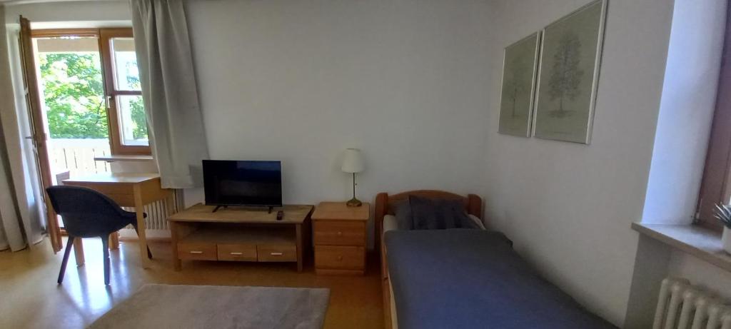 TV a/nebo společenská místnost v ubytování Goldsteig 2 -Zweibettzimmer
