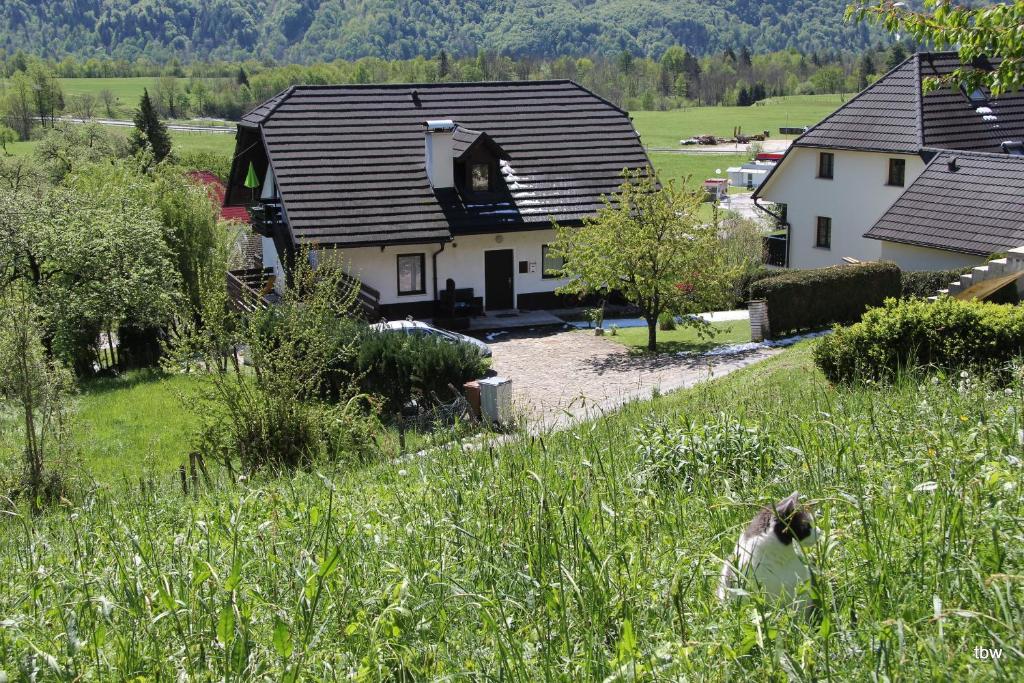 una casa con un perro en un campo de hierba en Apartments Tatjana, en Bovec