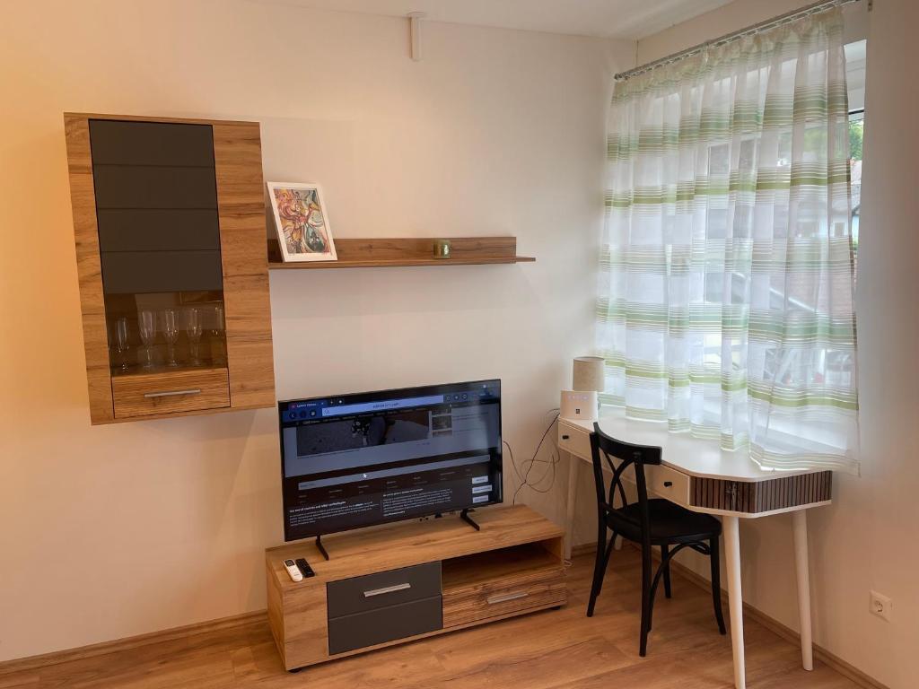 TV a/nebo společenská místnost v ubytování Apartment Weinstraße