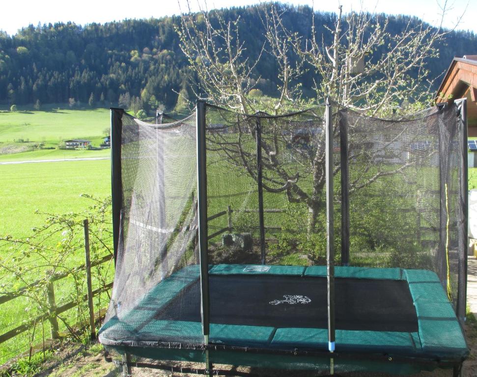 Stolní tenis v ubytování Haus Birgit nebo okolí
