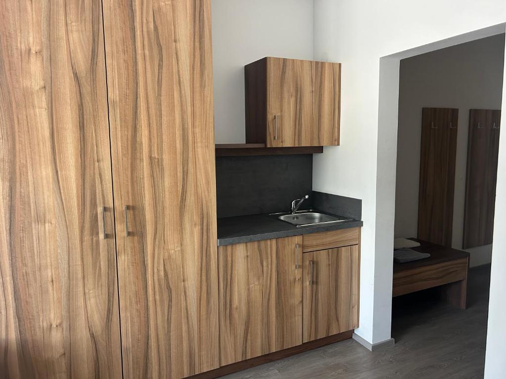 Kuchyň nebo kuchyňský kout v ubytování FarawayHomes Aparthotel Krems