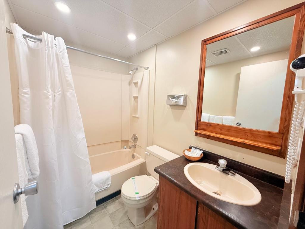 Koupelna v ubytování Capri Motor Inn