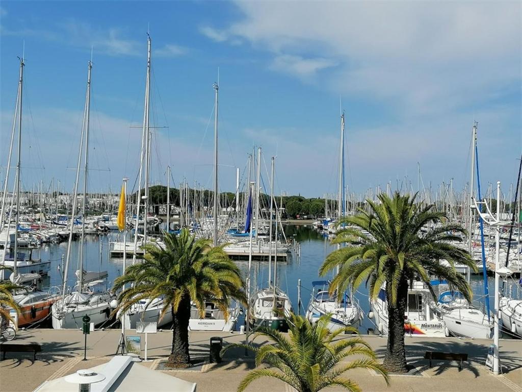 un port de plaisance avec des bateaux et des palmiers dans un port dans l'établissement Studio+Cabine avec Parking, Vue Port - FR-1-731-139, au Grau-du-Roi