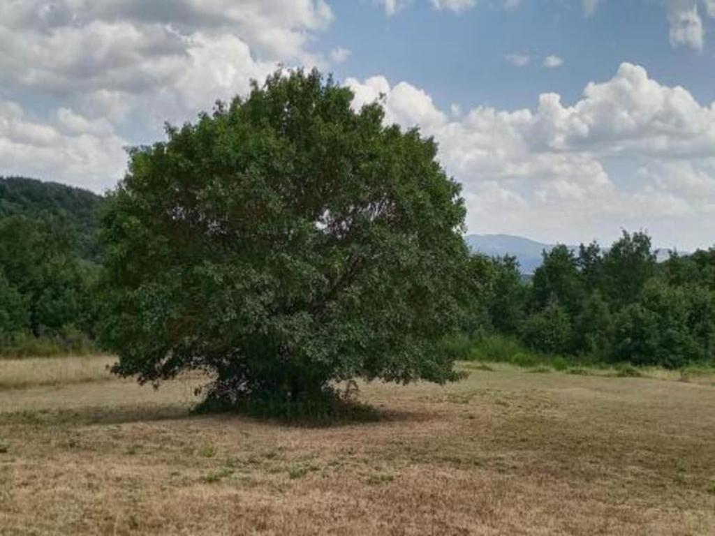 Príroda v okolí dovolenkového domu