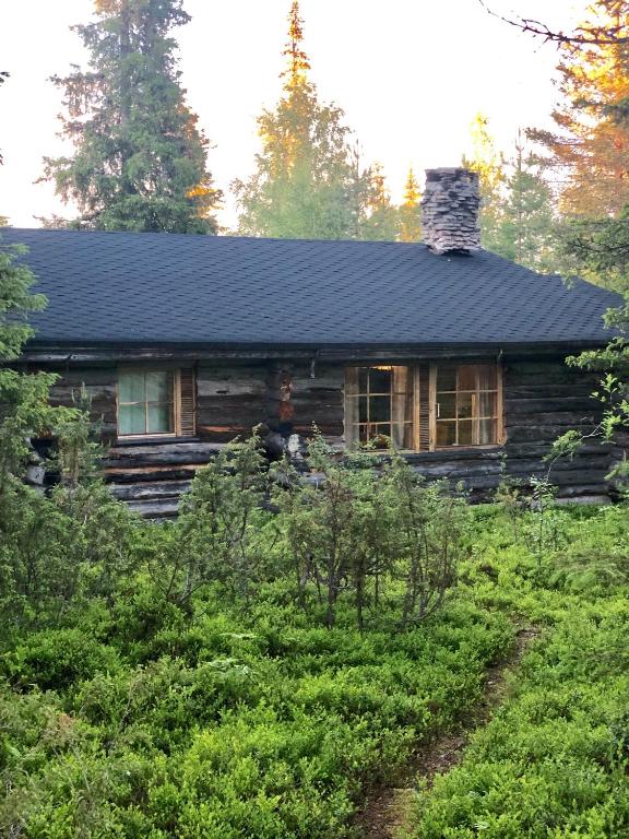 a log cabin with a black roof in the woods at Villa Karhunkehto in Luosto