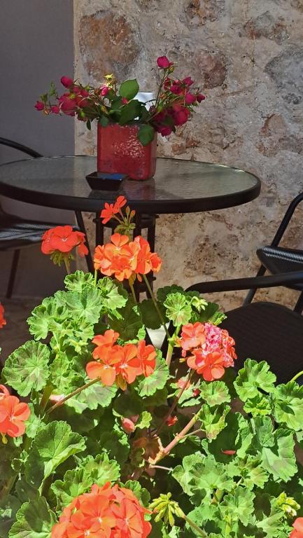 Fotografie z fotogalerie ubytování Sogno 2 v destinaci Parga
