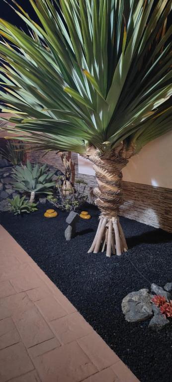 Kép Villa Del Corazon Salinas Golf szállásáról Caleta De Fustéban a galériában