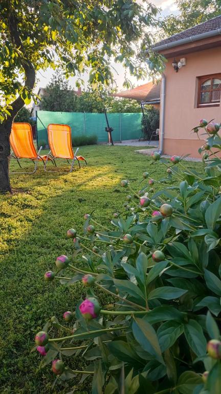 Zahrada ubytování Limonádé Apartman AC Agárd Élményfürdő mellett