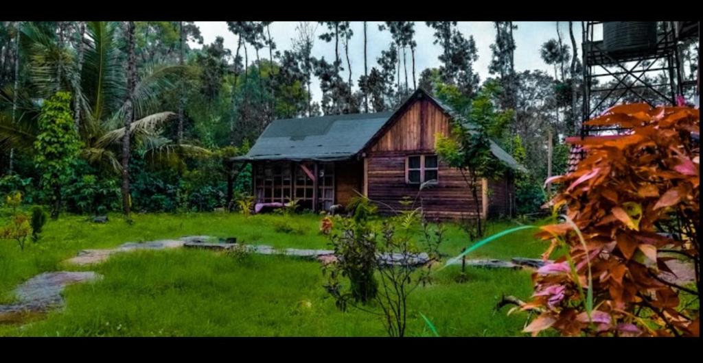 Κήπος έξω από το Grevillea retreat