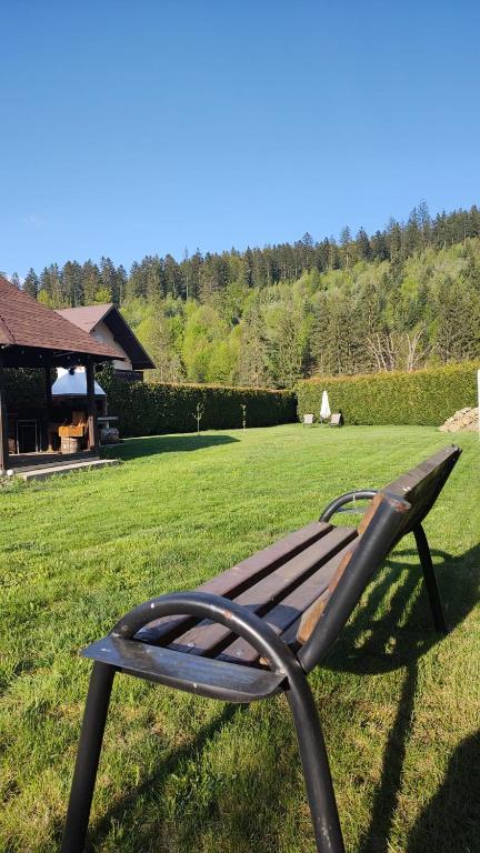 eine Bank, die im Gras in einem Hof steht in der Unterkunft Forest View Cottage in Voroneţ