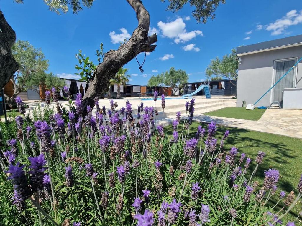 a garden with purple flowers in front of a playground at Vi&No Mobile Home - Camping Pirovac in Pirovac