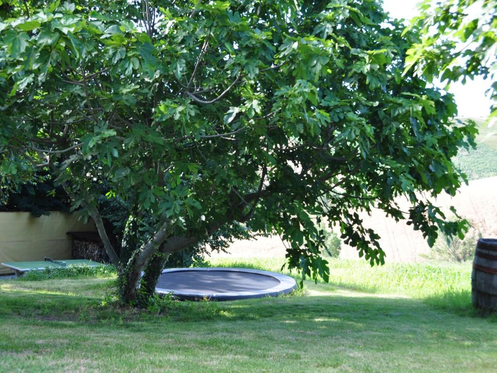 Vonkajšia záhrada v ubytovaní Amazing apartment in Belvedere Ostrense with garden