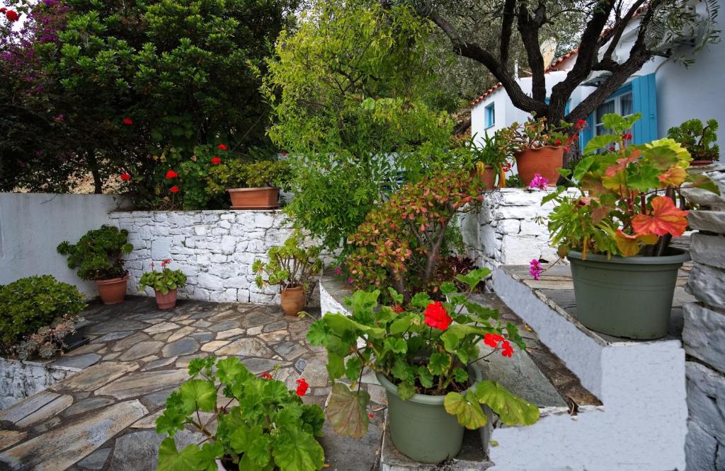Zahrada ubytování Limani Cottage