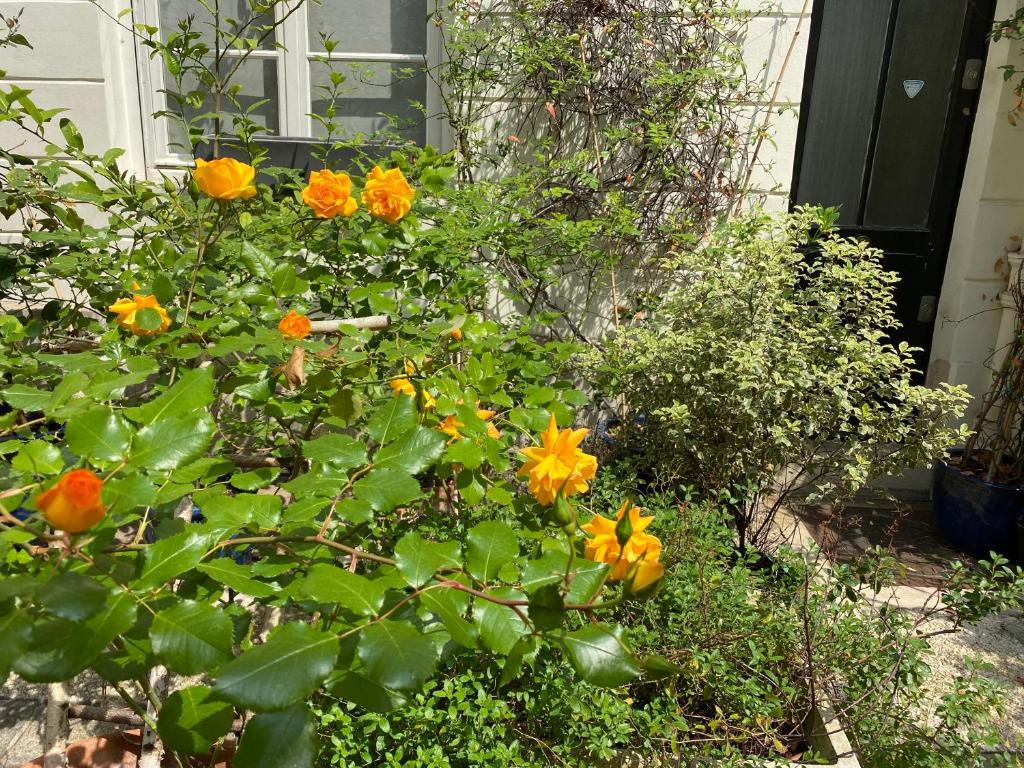 un jardin avec des fleurs orange et jaune devant une maison dans l'établissement Champs Élysées, à Paris