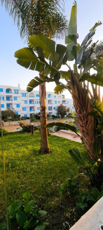 Zahrada ubytování Kabila vista n4 vue piscine