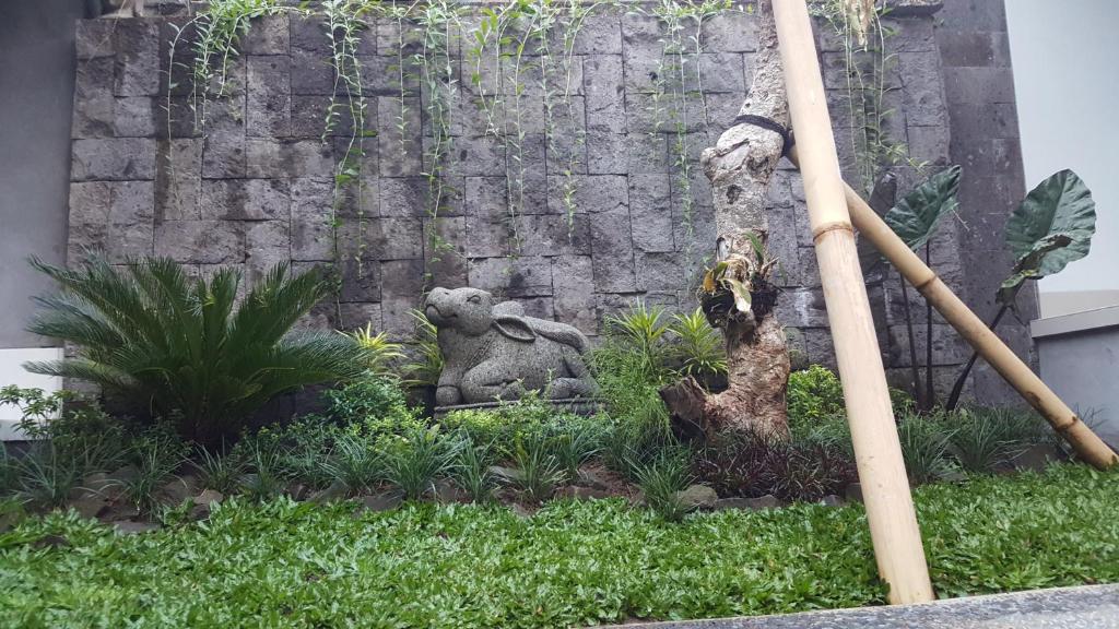 Zahrada ubytování DIMUWA Ubud