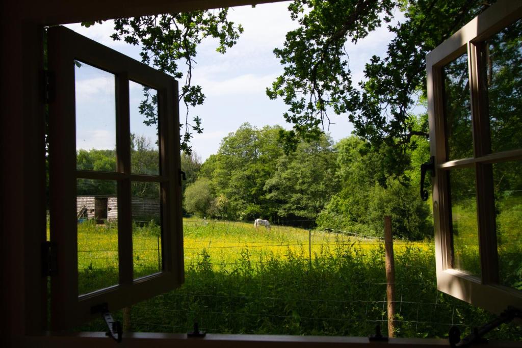 Zahrada ubytování Large New Forest Shepherds Hut