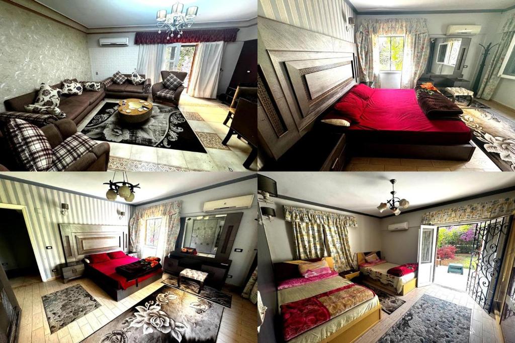 two pictures of a living room with a room with a couch at شقة غرفتين نوم بحديقة خاصة في المعمورة الشاطئ دور أرضي in Alexandria