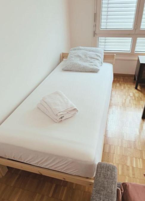 City center Flats in Zurich Downtown, Jakobade - Self Checkin - Resim 6