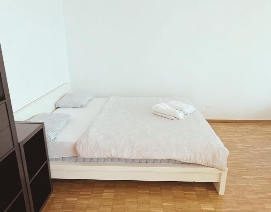 City center Flats in Zurich Downtown, Jakobade - Self Checkin - Resim 26