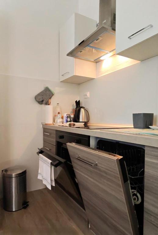 Kuchyň nebo kuchyňský kout v ubytování Apartman Noel Knin