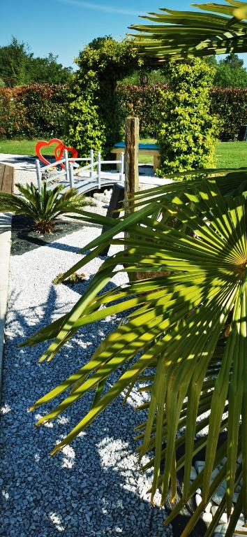 a bench and a palm tree in a park at "Notre Bastide" Maison et table d'hôtes traditionnelle et végétarienne, Piscine, jacuzzi, Clim, , à 5 mn de SARLAT in Marcillac-Saint-Quentin