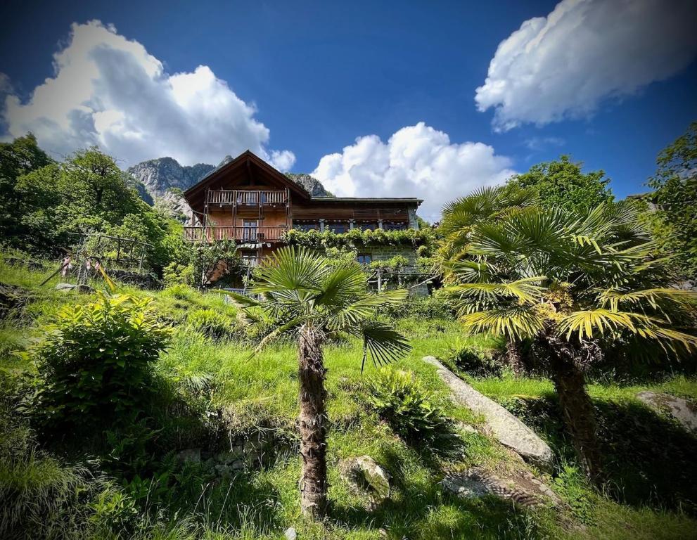 Příroda nedaleko apartmánu