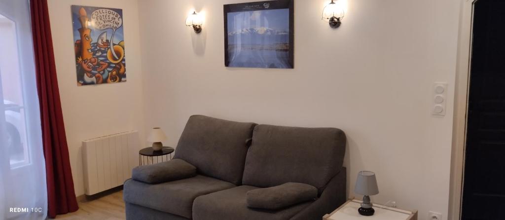 - un salon avec un canapé gris et des photos murales dans l'établissement Studio meublé entièrement équipé, à Elne