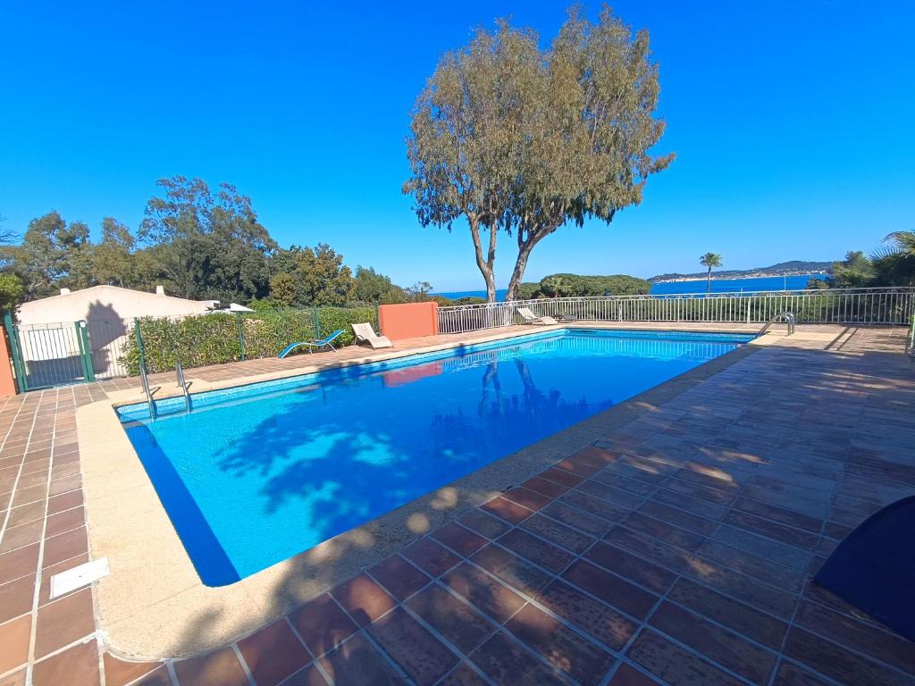 une piscine avec un arbre en arrière-plan dans l'établissement Le Mas des oliviers, à Grimaud