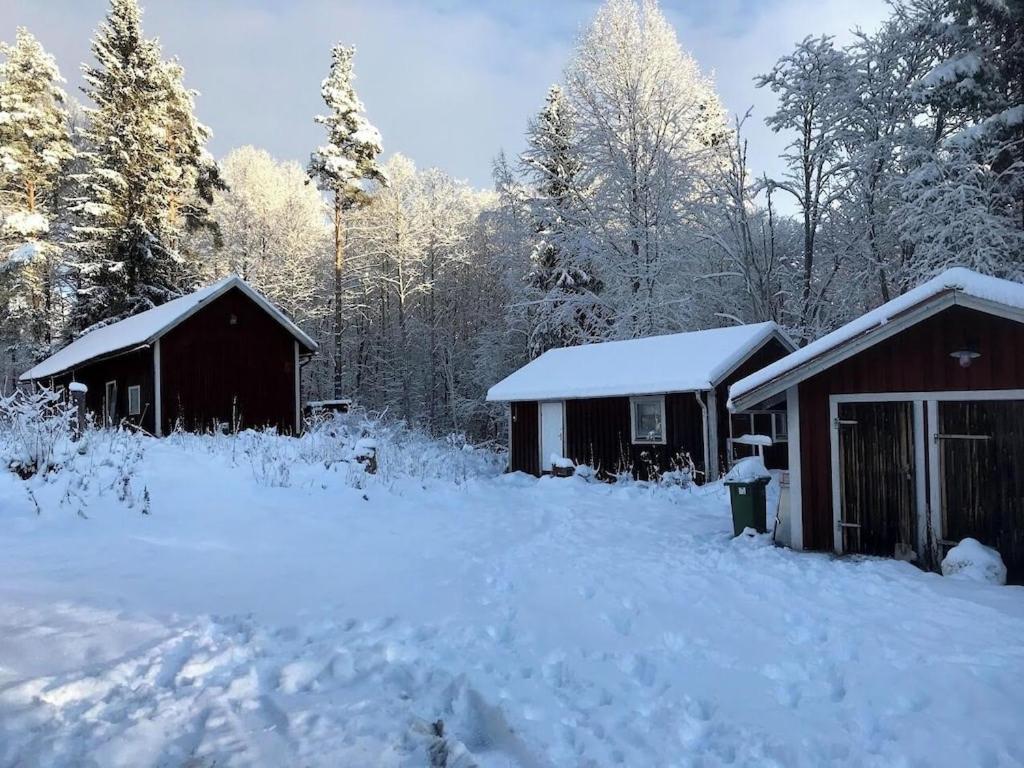 Skålviken Åsen v zimě