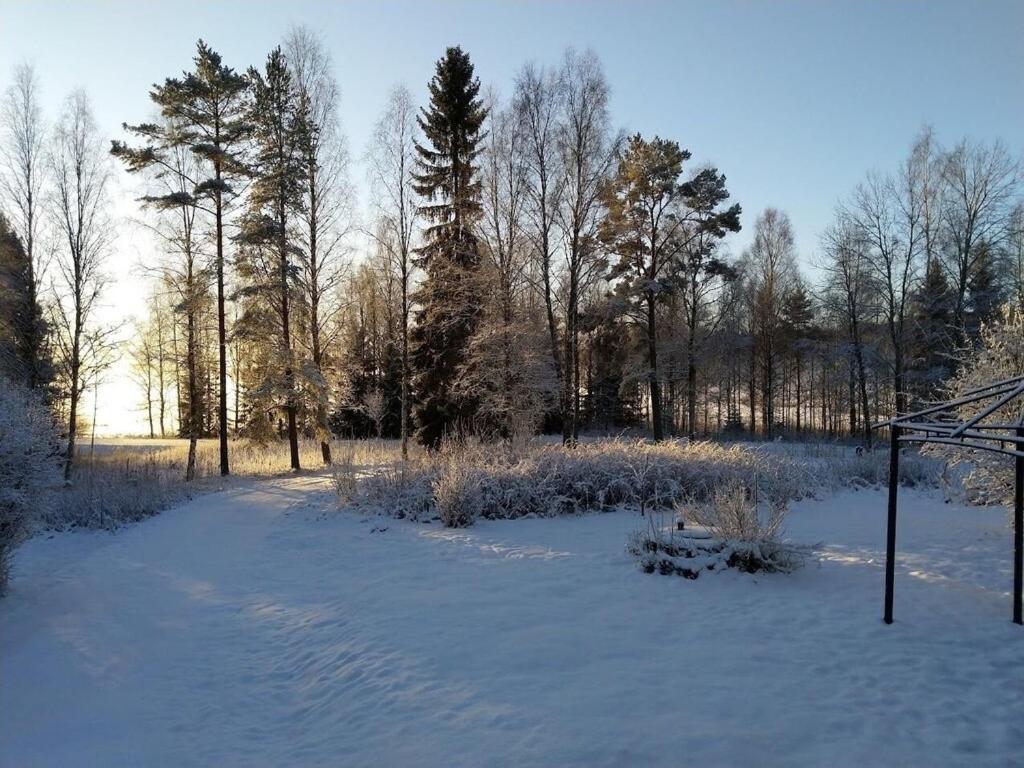 Skålviken Åsen v zimě