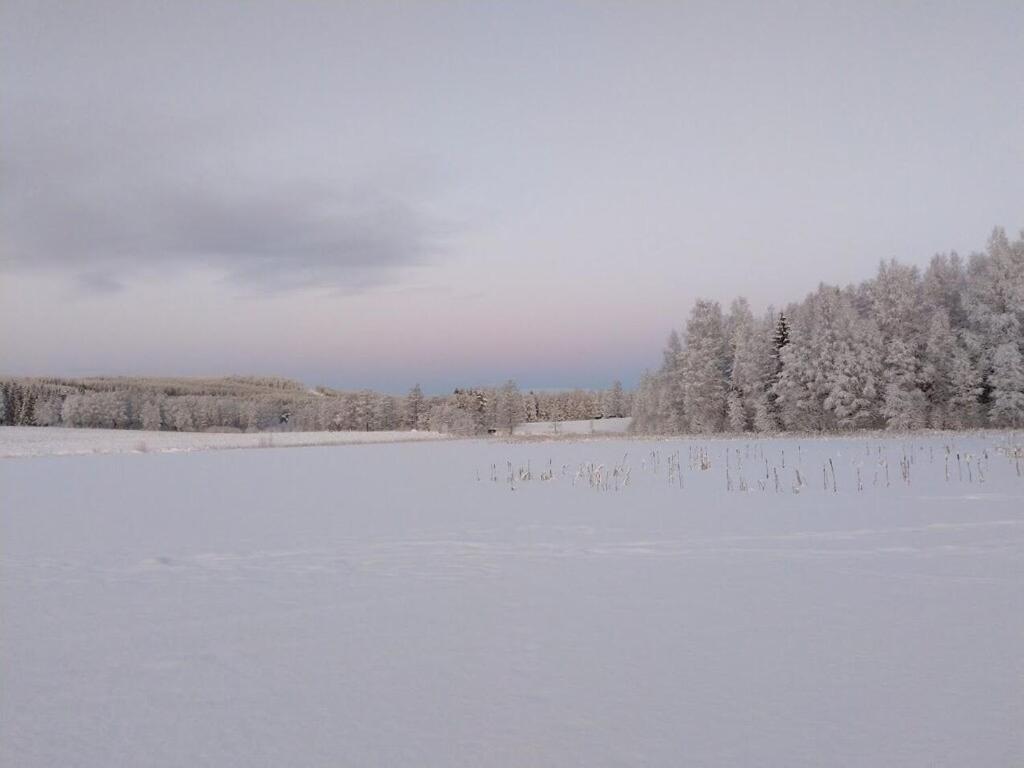 Skålviken Åsen v zimě