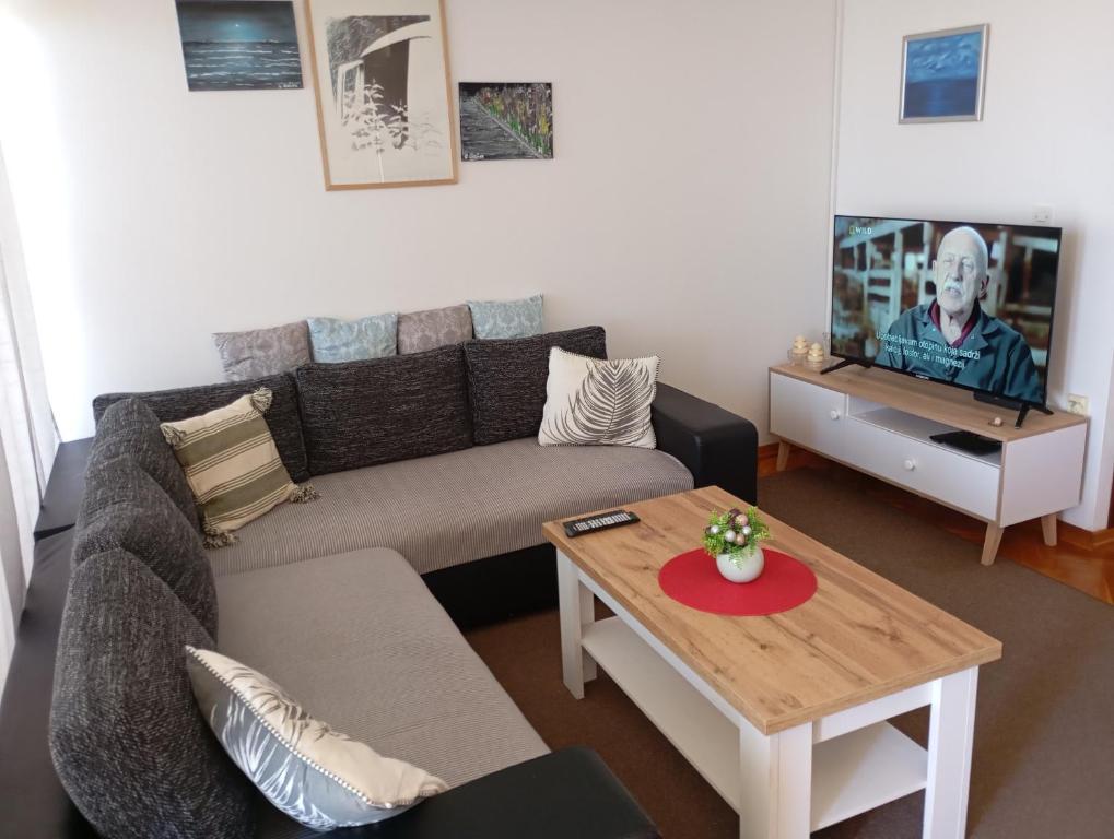 TV a/nebo společenská místnost v ubytování Apartment Dora 1 Jakišnica